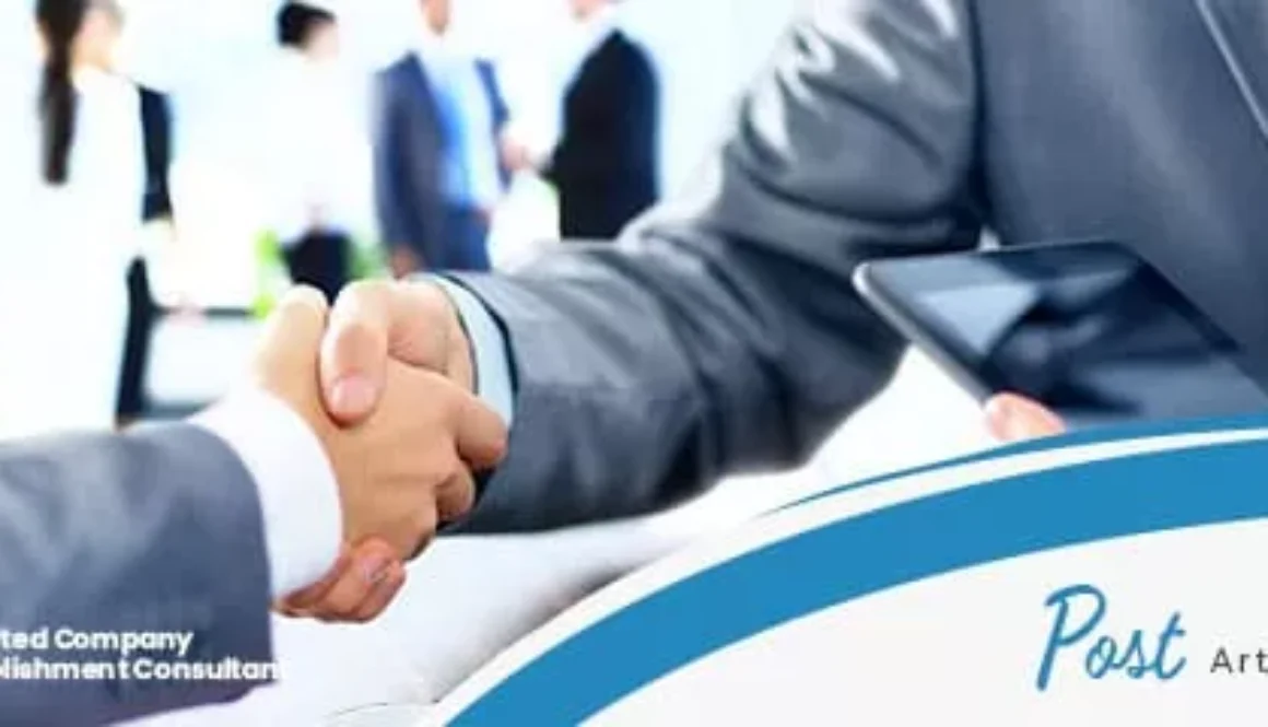 company establishment consultant